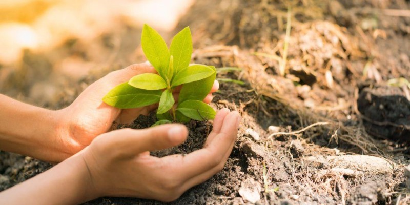 Licenciamento Ambiental: Garantindo um Futuro Sustentável